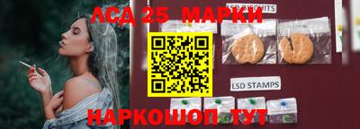 шишки Моздок