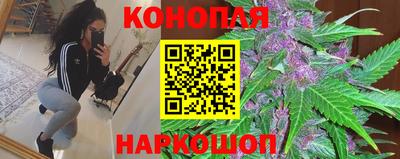 кокс Можга