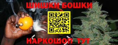 шишки Моздок