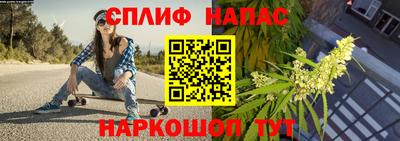 кокс Можга