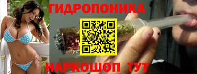 кокс Можга