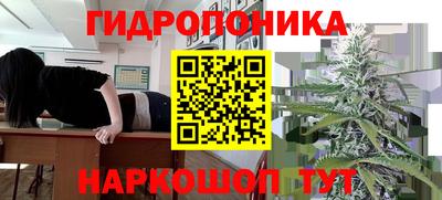 кокс Можга