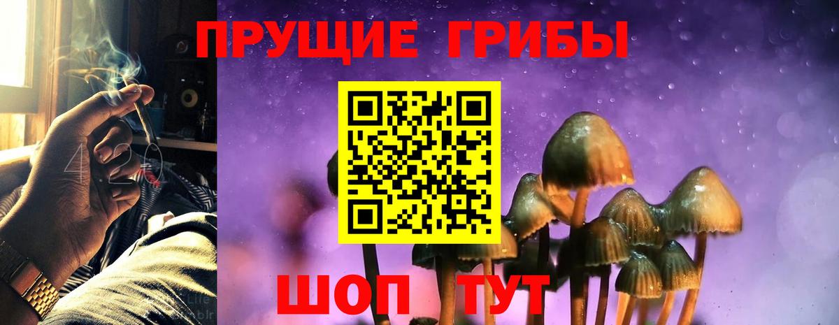 Псилоцибиновые грибы Psilocybine cubensis  Вход с VPN  Псилоцибиновые грибы Cubensis  Ялуторовск 